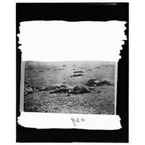  Civil War Reprint Gettysburg, Pennsylvania. Bodies of dead 