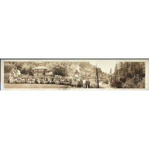  Panoramic Reprint of Train De Luxe from New York, en route N.E.L 