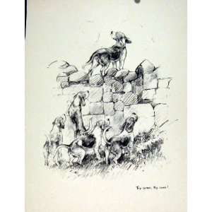  Dog Wall Farm Hounds Excited Sketch Drawing Fine Art