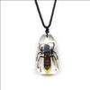Insect Necklace   Tiger Wasp (Asian Giant Hornet)
