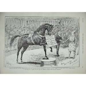  1889 Advertisement EllimanS Embrocation Horses Athlete 