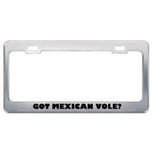 Got Mexican Vole? Animals Pets Metal License Plate Frame Holder Border 