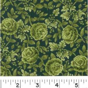  45 Wide KAYLEIGH   GREEN Fabric By The Yard: Arts 