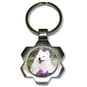  American Eskimo Star Key Chain: Office Products