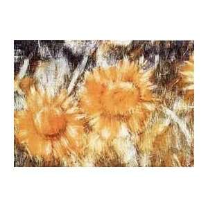   Print   Sunflowers   Artist Christian Rohlfs  Poster Size 22 X 28