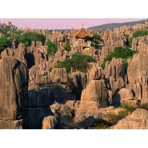  Pagoda and Limestone Karst Formations in the Stone Forest 