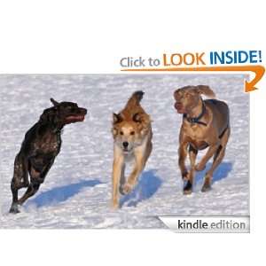 Dog Health Guide Dog Lover  Kindle Store