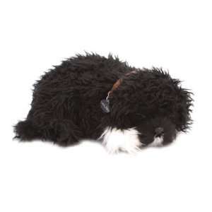  Portuguese Water Dog Perfect: Toys & Games