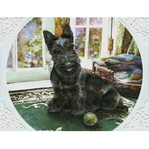   Scottish Terrier Blank Notecards Scotty Dog Health & Personal Care