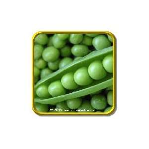  1/4 Lb   Garden Pea Seeds   Lincoln Shell Bulk Vegetable 
