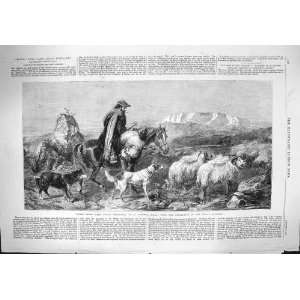  1862 TIRED SHEEP GLEN SPEAN SCOTLAND SHEPHERD MAN