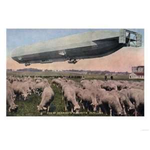  Germany   View of a Zeppelin Blimp over Grazing Sheep 