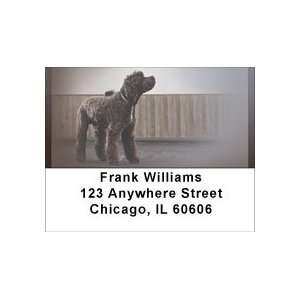  Portuguese Water Dogs Address Labels: Office Products