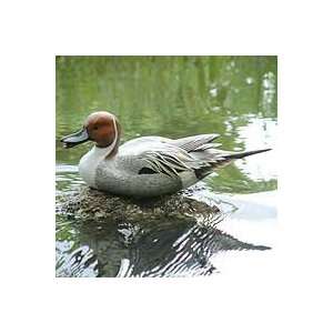 NOVICA Wood sculpture, Life Size Pintail Duck