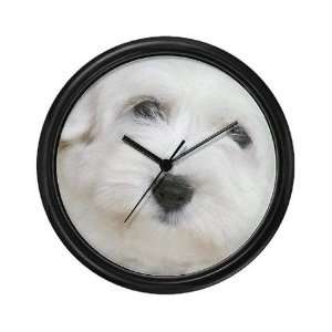  Coton de Tulear Pets Wall Clock by CafePress: Everything 