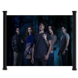  Teen Wolf MTV TV Show Fabric Wall Scroll Poster (22x16 