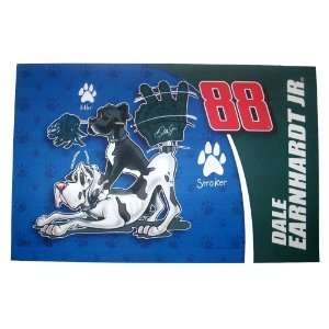  Dale Earnhardt Jr Official NASCAR Pet Placemat: Pet 