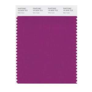   PANTONE SMART 19 2630X Color Swatch Card, Wild Aster