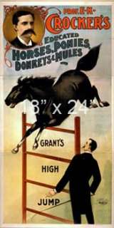 Crockers horses ponies donkeys & mules Circus Poster  
