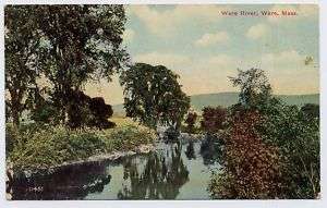 1909 WARE MA early unspoiled Ware River Woods postcard  