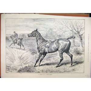   1888 Horse Loose Man Falling Water Country Scene Print