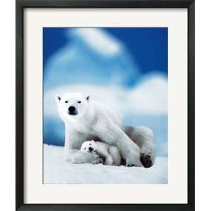 Polar Bear and Baby Framed Poster Print, 23x27