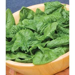  Spinach, Bloomsdale Organic 1 Pkt. Patio, Lawn & Garden