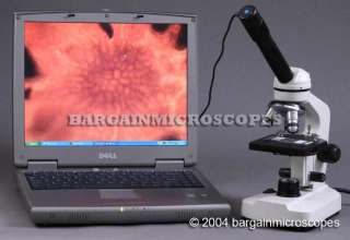   total magnification lowest price anywhere ascaris under 10x objective