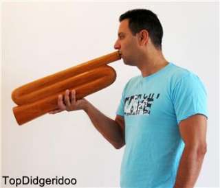   Shape Didgeridoo 59 +BAG  Hand Carved Honey Redwood Travel Compact