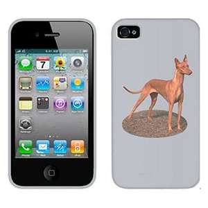  Pharaoh Hound on Verizon iPhone 4 Case by Coveroo  