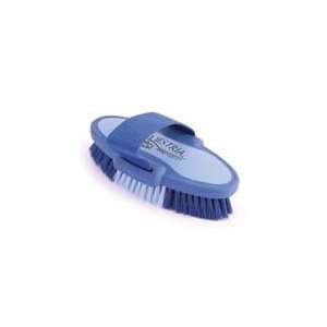  6.75 Inch Small Equestrian Sport Oval Body Brush   Blue 