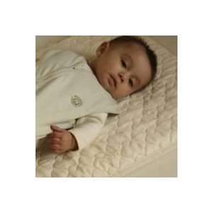   : Ecobaby Organic Quilted Mattress for Bedside Sleeper Bassinet: Baby