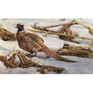  Robert Bateman   Pheasant in the Cornfield