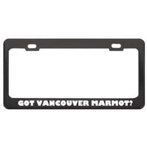 Got Vancouver Marmot? Animals Pets Black Metal License Plate Frame 