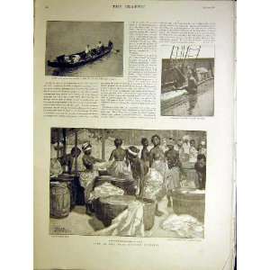  West African Colonies Life Lagos Canoe Accra Print 1898 