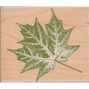  Liquid Amber Maple Leaf Wood Mounted Rubber Stamp (N2081 