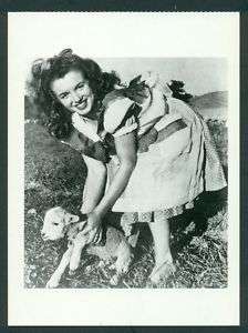 oz Marilyn Monroe postcard, Baby lamb, 1989, 5 by 6 in  