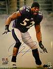 Baltimore Ravens Ray Lewis Auto Autographed Signed 16 x 20 Entrance 