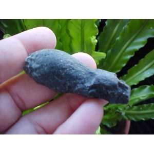  Zs8322 Gemqz Natural Tektite Meteoritic Chunk Long 