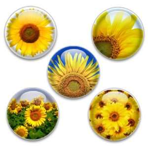   : Decorative Magnets or Push Pins 5 Big Sunflowers: Kitchen & Dining