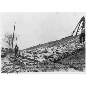    New Orleans,Louisiana,Mississippi River,Levee,1927