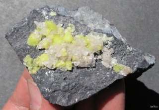 ETTRINGITE W/ CALCITE   EX CHARLIE KEY   S AFRICA 13337  