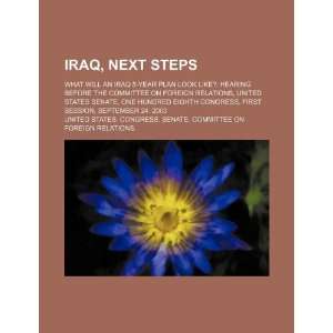  Iraq, next steps what will an Iraq 5 year plan look like 