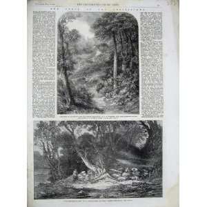    1861 Woodland Glade Trees Path Blackdown Surrey Art