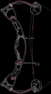 xt comp xt comp is the first hoyt compound target limb combining our 5 