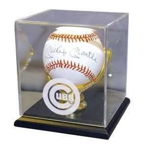  Single Baseball Gold Glove Display: Sports & Outdoors