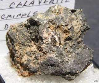 RARE CALAVERITE   CRIPPLE CREEK, COLORADO 13154  