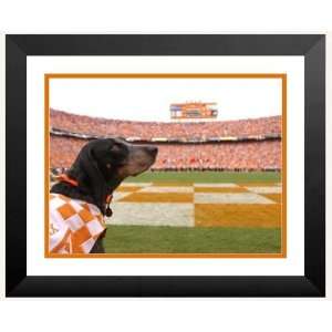   Photos 008039 XLF B TN W1 18 x 24 Tennessees Smokey at NEyland Stadium