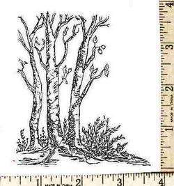 Bare BIRCH TREES Giant UNMounted rubber stamp  