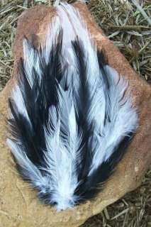 STUNNING BLACK & WHITE BLENDED FEATHER PAD LOW SHIP  